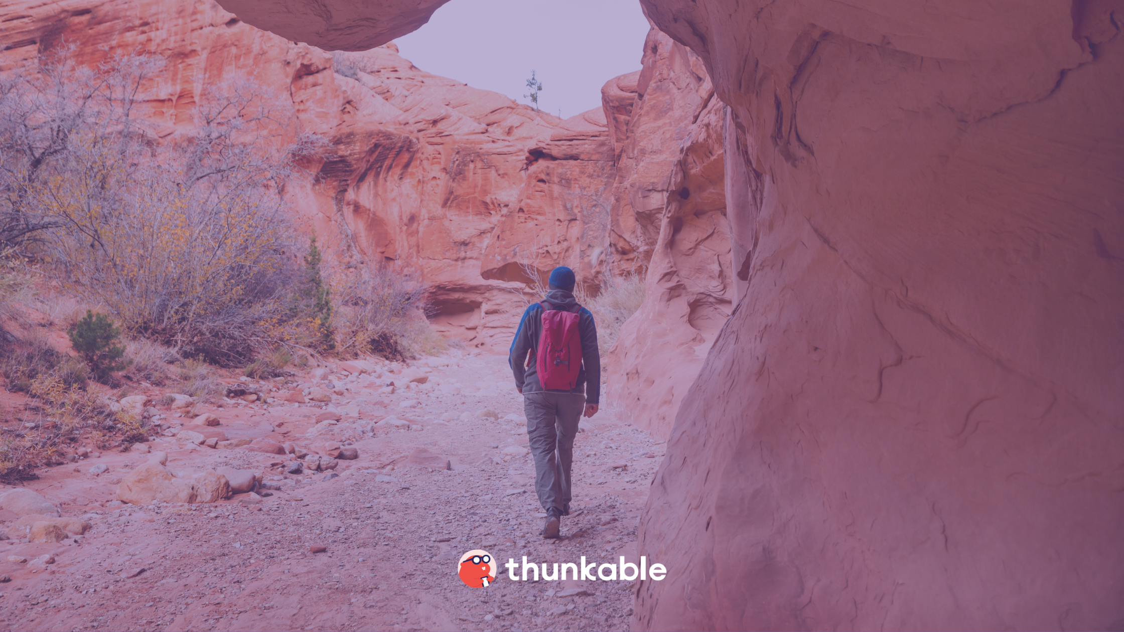 Gerardo Villena uses Thunkable's app creator - blog header